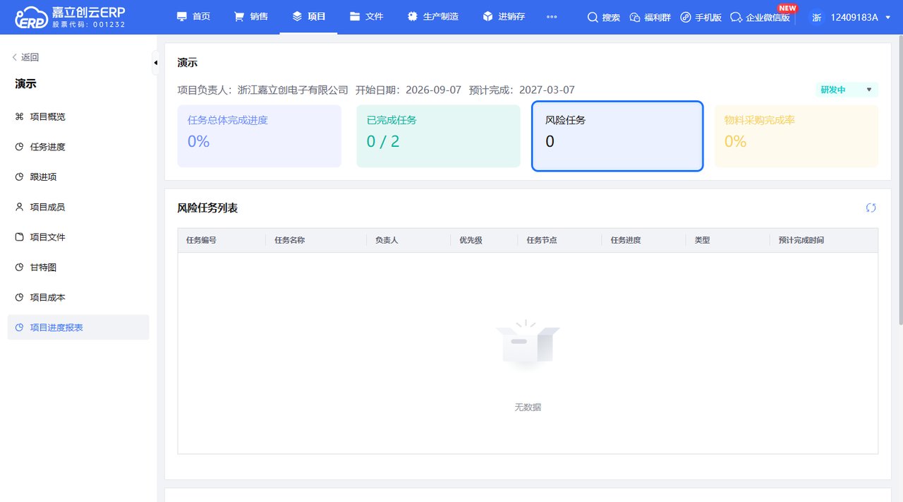 项目进度报表截图